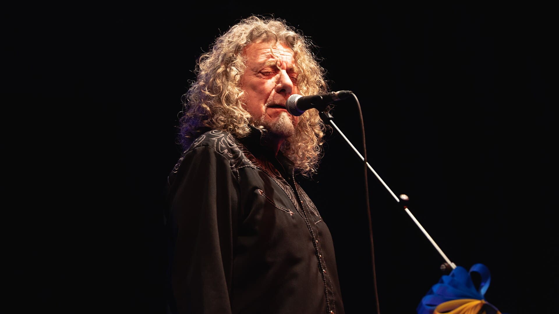 Robert Plant, 2022