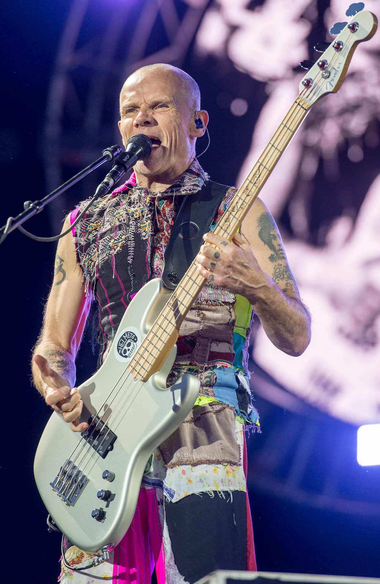 Flea, 2016